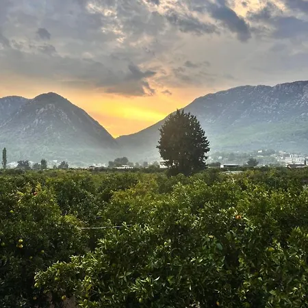 Tunali Apart Kumluca