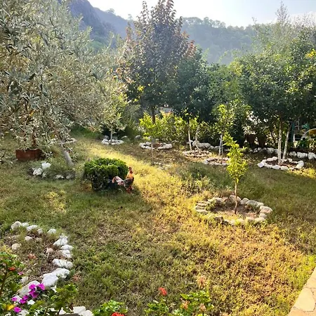 Tunalı Apart Apart Otel *